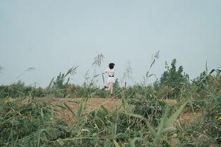 故里吃瓜,探寻乡村美食的别样风情