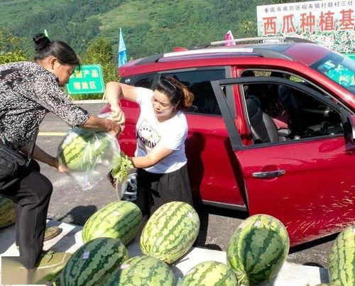 萍乡市吃瓜群众,吃瓜群众的热议焦点