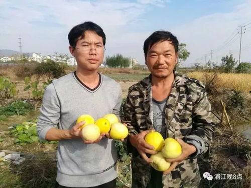 吃瓜群众耒阳,吃瓜群众眼中的地方风情