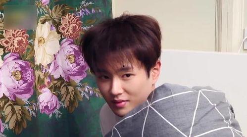 柯淳现场吃瓜,揭秘娱乐圈幕后真相