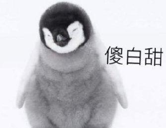 吃瓜黑色眼睛,探寻吃瓜黑色眼睛背后的神秘故事