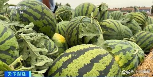 每日吃瓜热门吃瓜,揭秘娱乐圈最新热点事件