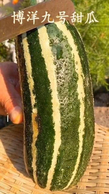 梦到自己在吃没熟的瓜,探寻潜意识中的饥饿与渴望