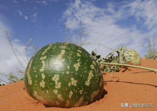 口渴了吃瓜,夏日消暑美食攻略