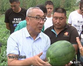 新西兰博士吃瓜视频,揭秘校园生活趣味瞬间