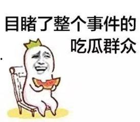 新年吃瓜的群众,揭秘娱乐圈幕后风云