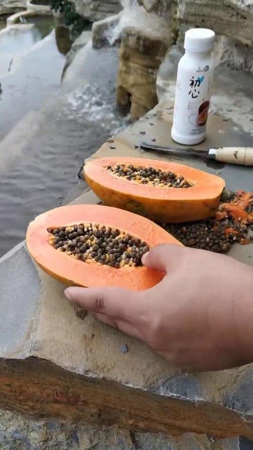 大山上吃瓜,探寻大山里的夏日美味