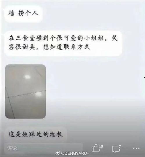 离谱吃瓜秃仔,秃仔的爆笑瓜田奇遇记