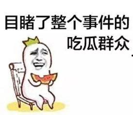 年轻吃瓜的群众,娱乐圈最新爆料大揭秘！