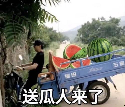 奥克兰机车圈吃瓜,吃瓜群众揭秘圈中秘闻