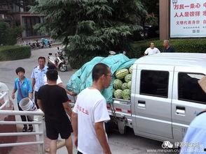 吃瓜现场大全视频播放,揭秘热门视频背后的精彩瞬间