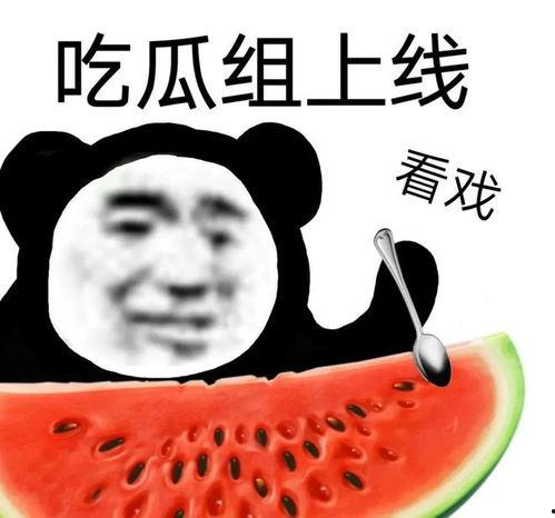 吃瓜要钱吗,揭秘瓜分网络流量背后的经济真相